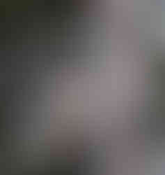 A hawk sitting on a branch in a tree