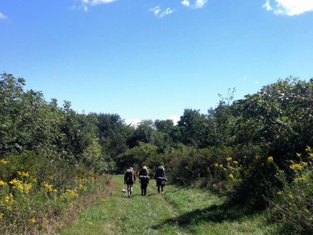Hiking at Yellow River State Forest