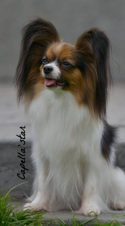 October 2015 - Bella