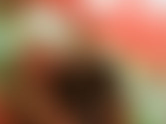 Zé Bruno cita EUA e Venezuela e rejeita fé de guerra