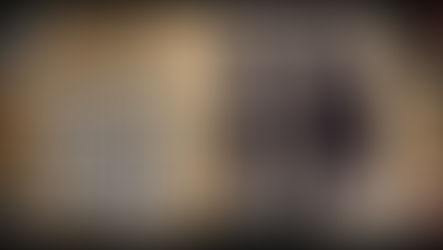 Os Raimundos como você nunca viu