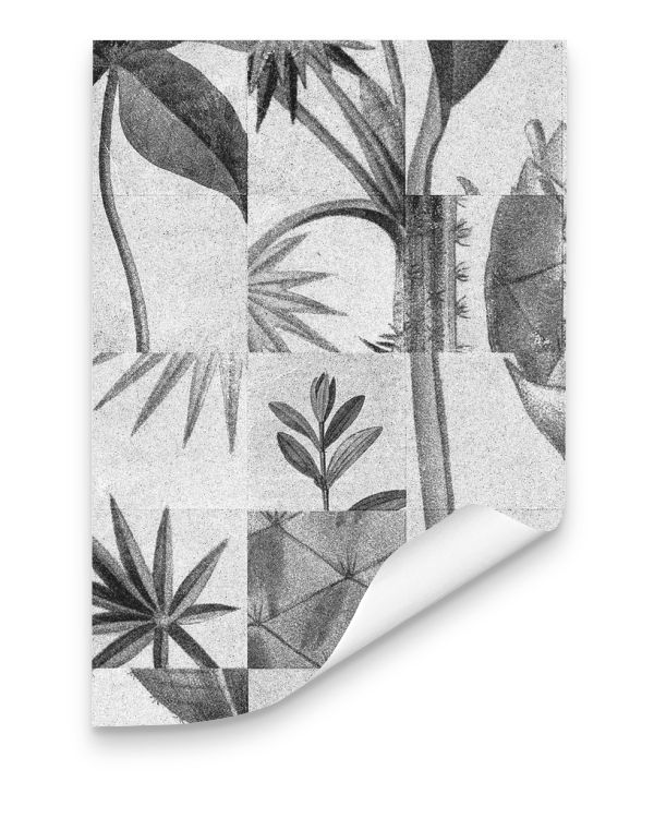 Miniatura: papel de parede azulejo tropical