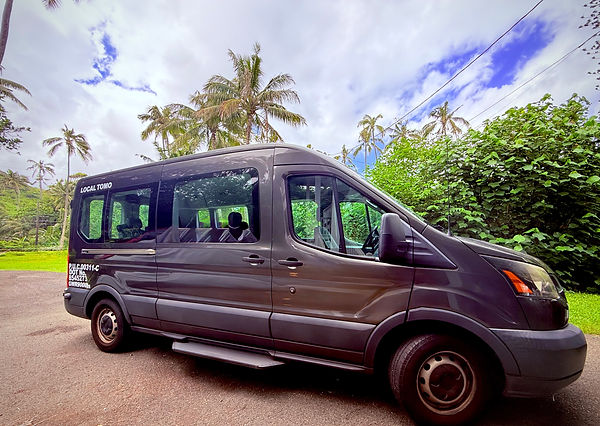 oahu-private-tour-van.jpeg