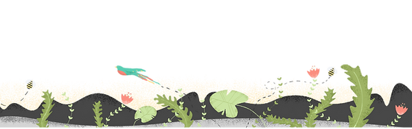 野生動物