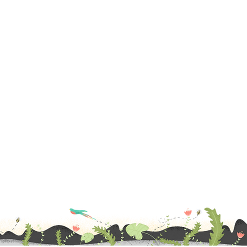 Wildlife