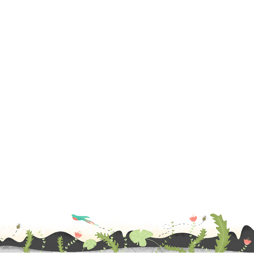 Wildlife