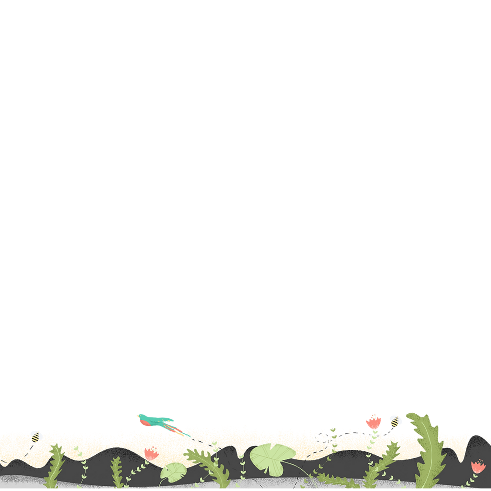 Wildlife