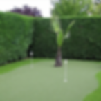 garden grass.png