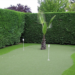 garden grass.png
