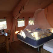 img_1086-7jpeg