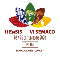 logo saberes indÃgenas site 2-01(1).png