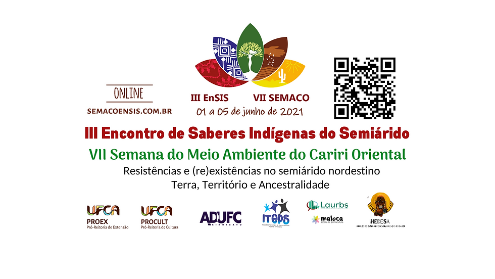 #VidasIndigenasImportam