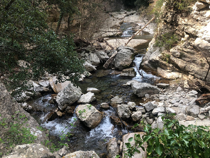 IMG_4935.jpeg