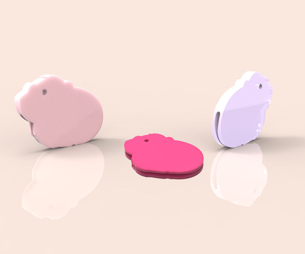 GUINEA PIG COLOR STUDY