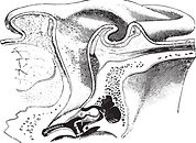 Science Illustration
