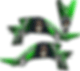 YAMAHA YFZ450 GRAPHICS DECAL KIT GRIM REAPER REVENGE YFZ 450 2003-2013 GREEN
