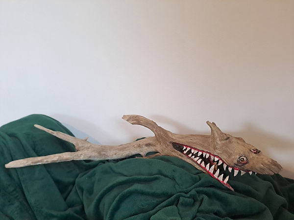 20250522_155035.jpg