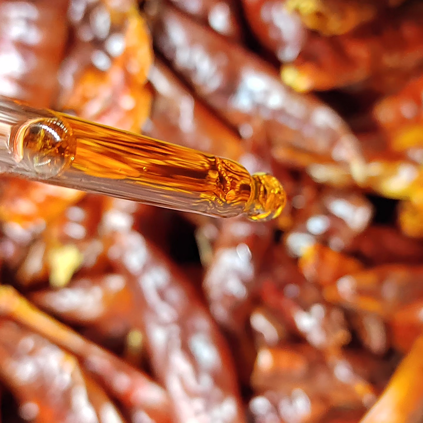 Cayenne Oil Tincture (30ml) 🌶️