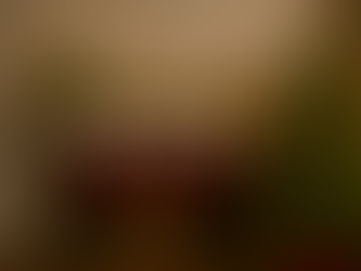 🎄 Merry Christmas from BPLS! 🎅