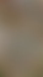 Zakup mieszkania na rynku wtórnym w Hiszpanii