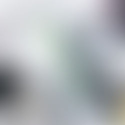 NINEからプロミルセラムへ☆