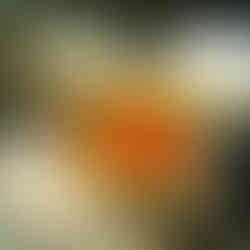 Nakia Restoran Fotoğraf Çekimi