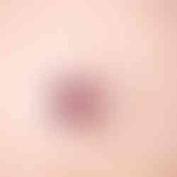 Monde restoran fotoğraf çekimi