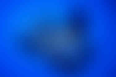 Octopus Arcade Stick