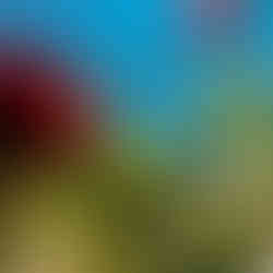 Atakule Fotoğraf Çekimi