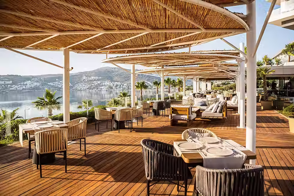Lotus Kitchen & Lounge