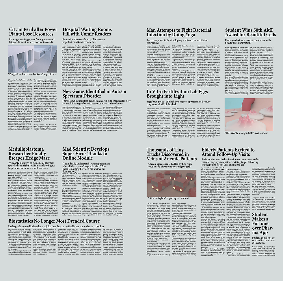 newspaper_inside_scsh.png