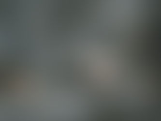 Zicklein auf einem Felsvorsprung im Hochgebirge