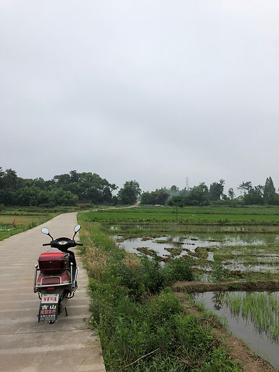 IMG_7473.jpeg
