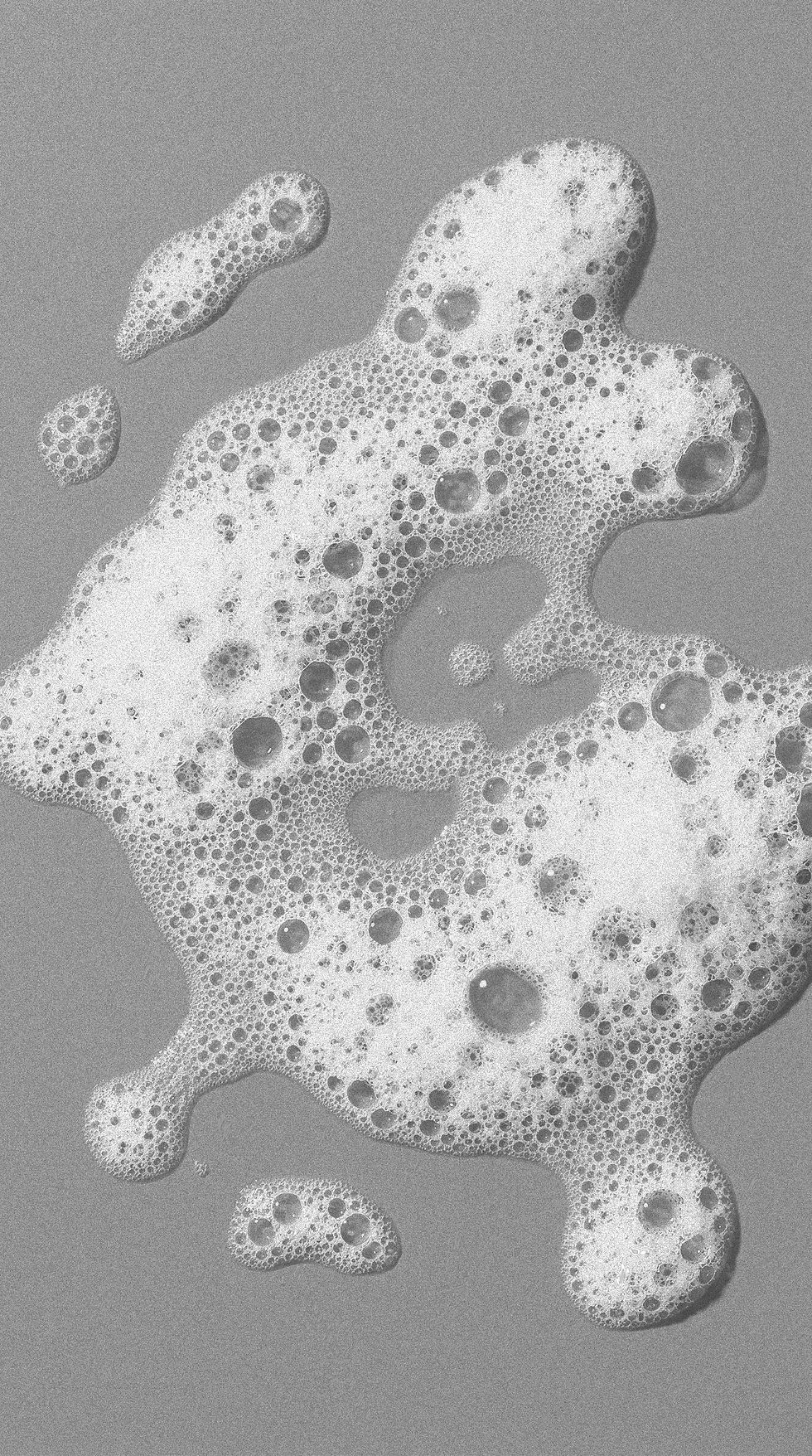 BW mousse 1 grad.webp