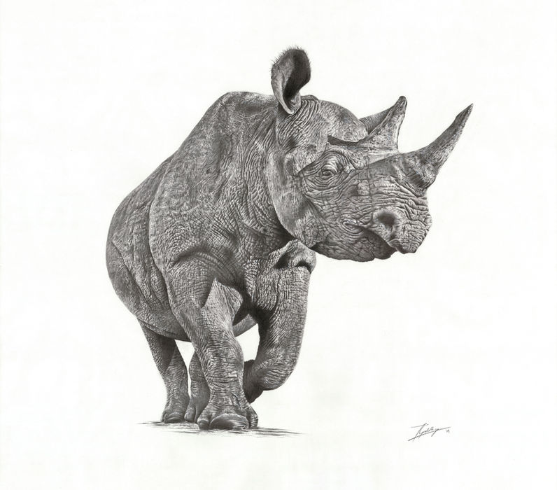 In the Shadows ORMS Smaller.jpg