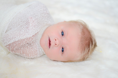 Web | Newborn (5 of 13).jpg