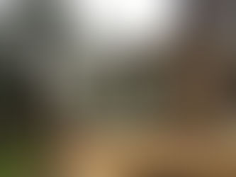 Bespoke Orangery - Peaslake, Surrey