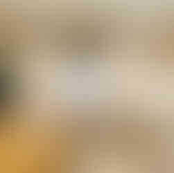 Shaded White Cottage Kitchen - Liss, Hampshire