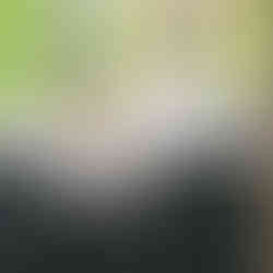 Luxury family kitchen painted in Little Greens Livid. In Cranleigh, Surrey.