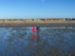 Beach.jpeg