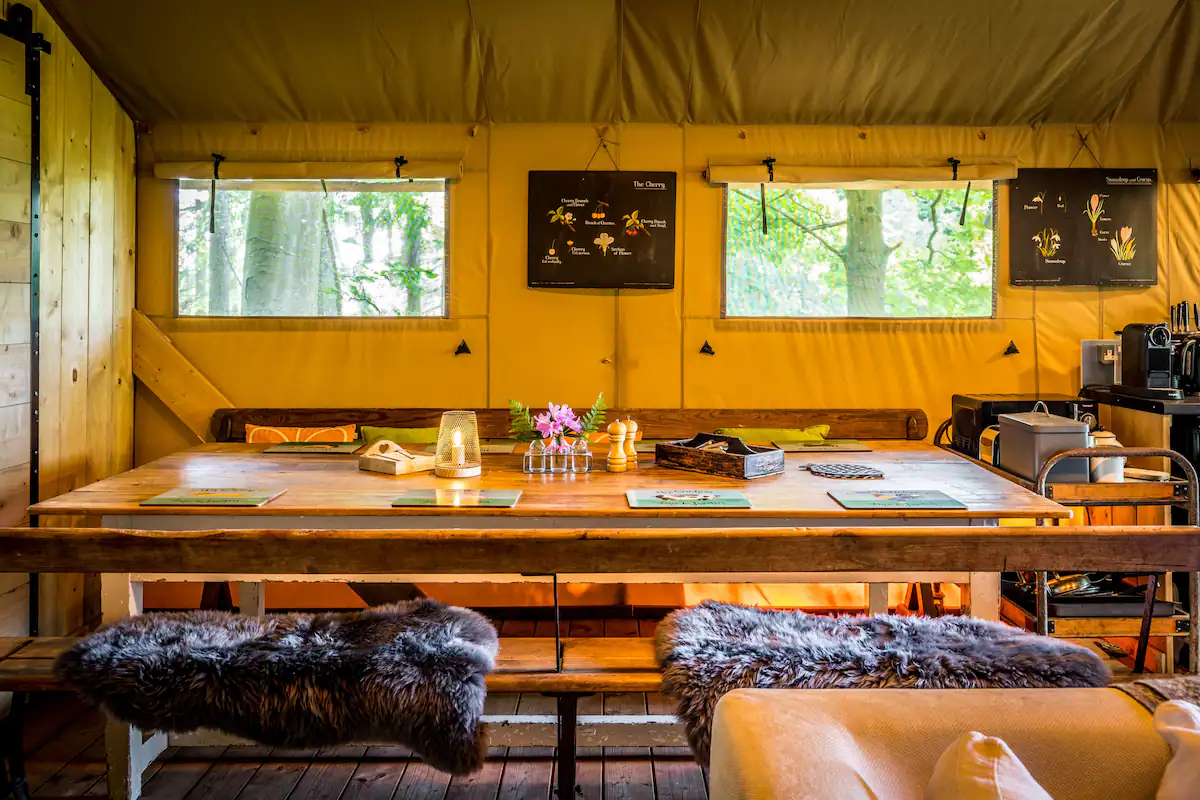 Holiday Let Treetop Safari Tent Interior Design