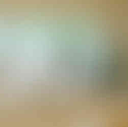 Shaded White Cottage Kitchen - Liss, Hampshire