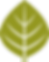 Hazelwood Consulting Leaf