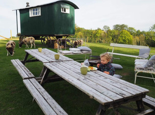 Shepherds Hut .jpeg