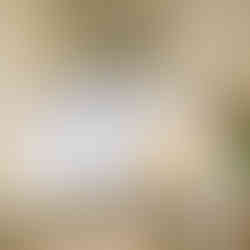 Shaded White Cottage Kitchen - Liss, Hampshire