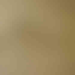 Shaded White Cottage Kitchen - Liss, Hampshire