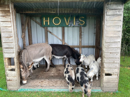 Farm animals.jpeg