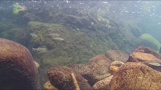 aquariumphoto.jpg