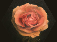 Oil painting of a warm peach rose by artist Kim Randleas