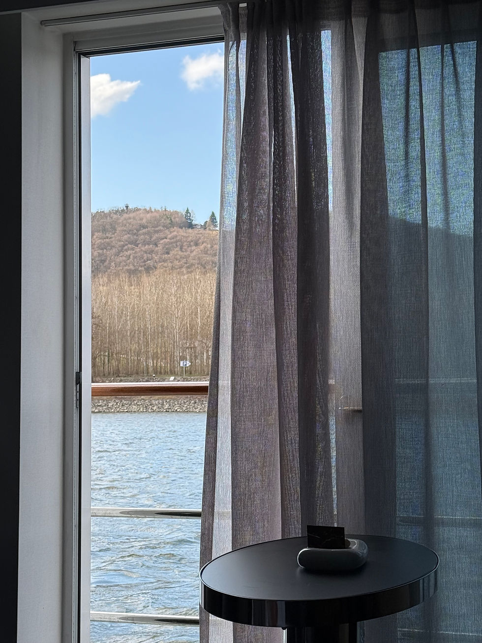 View of the Danube River from a suite balcony on the Riverside Mozart, Riverside Luxury Cruises review by Kat Herman
